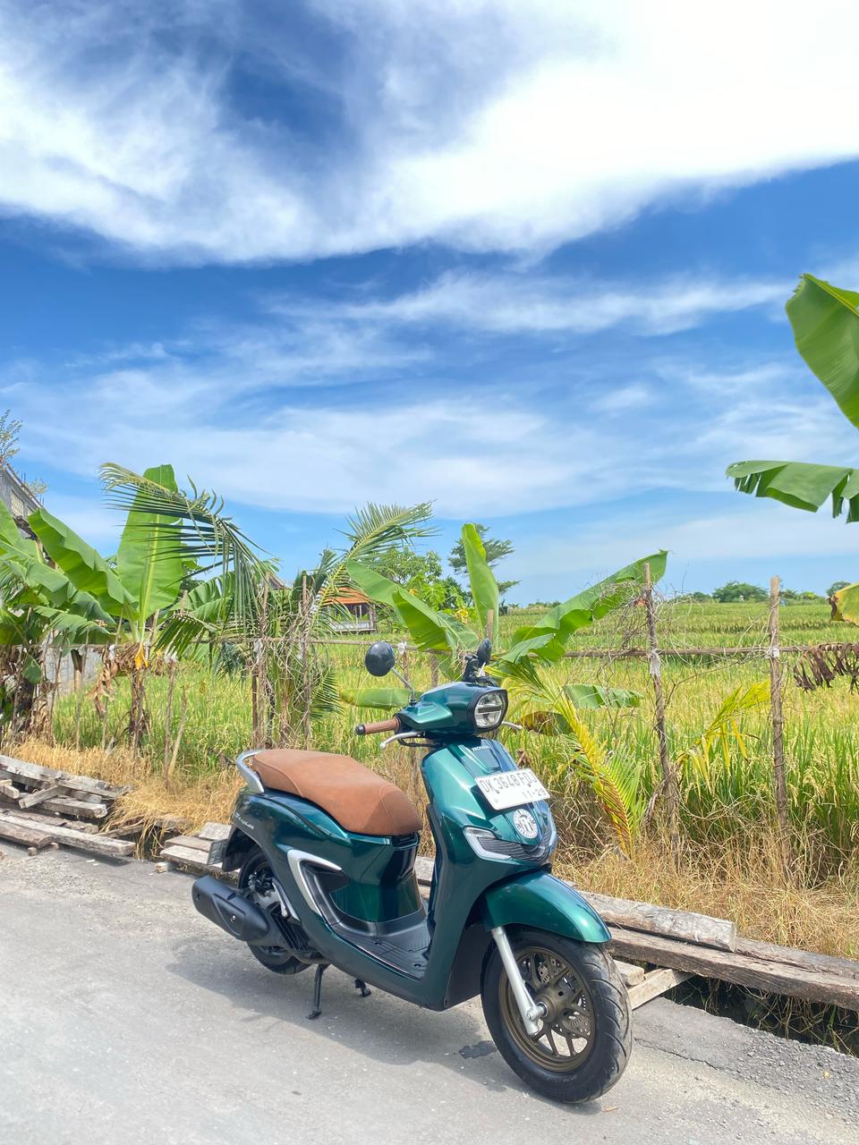 Green Honda Stylo scooter by Bali rice fields